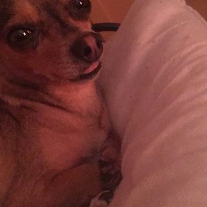 Meet your Posher, Christian